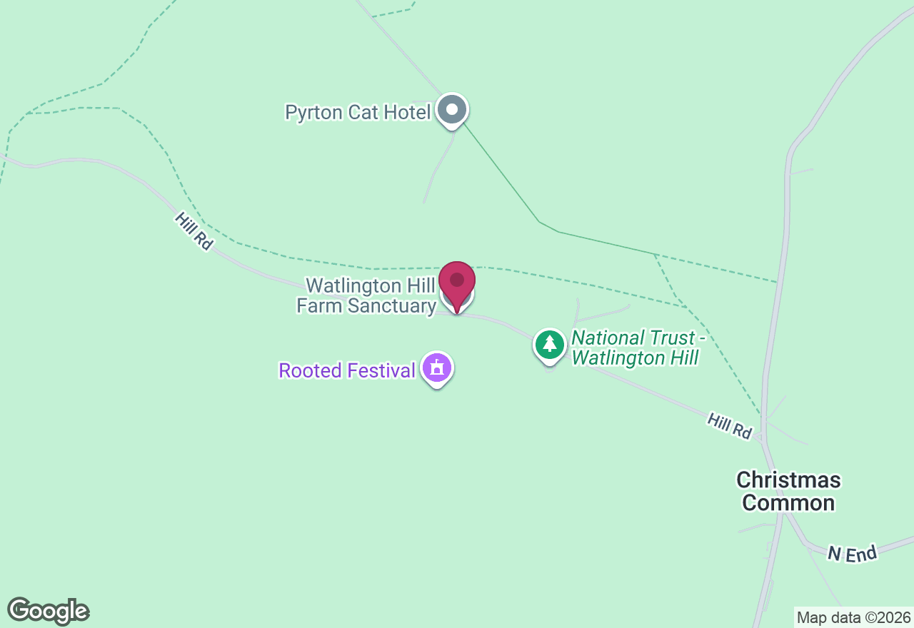 Family Painting Workshop location