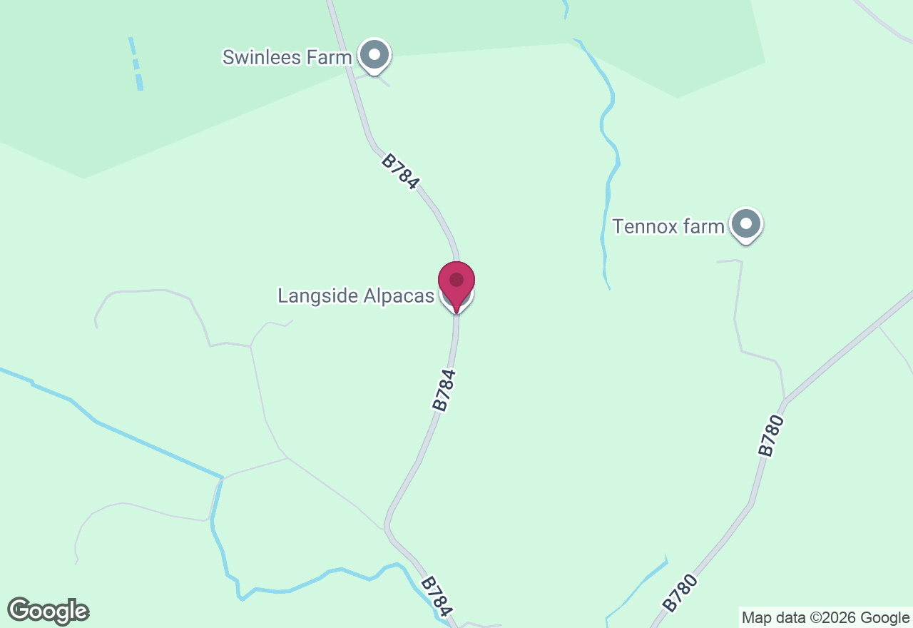 Art and Alpaca Experience location