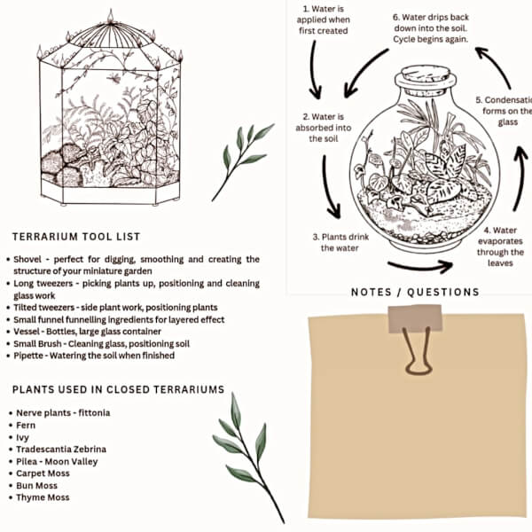 Terrarium class by Botanical Moonlight
