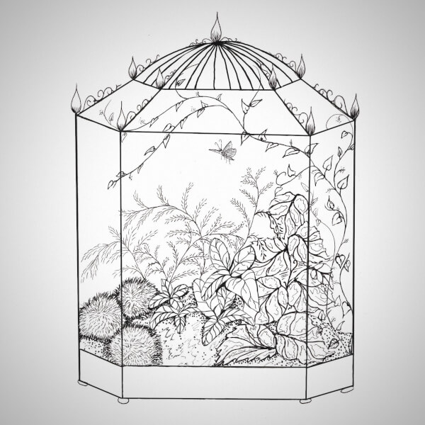 Terrarium classes