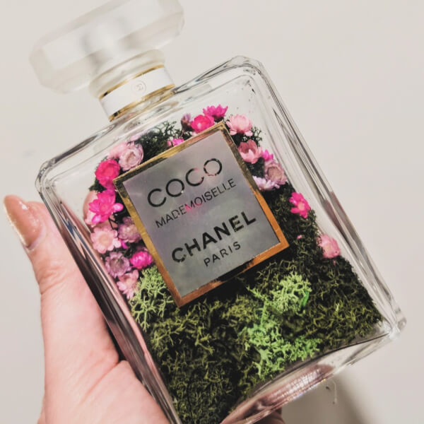 Terrarium experience