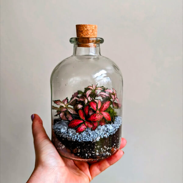 Terrarium course
