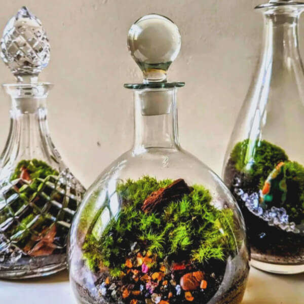Terrarium class by Botanical Moonlight