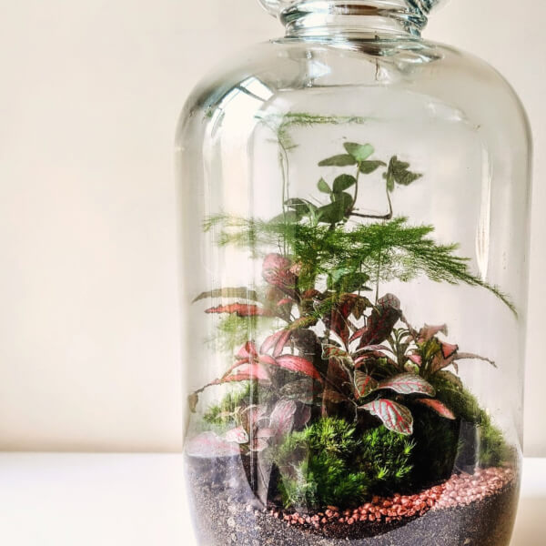 Terrarium class by Botanical Moonlight