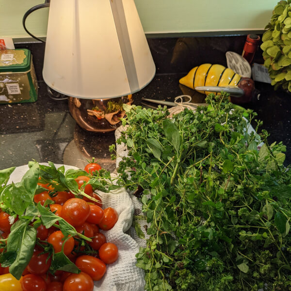 Foraging experience