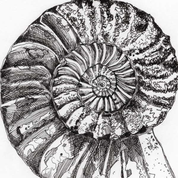 Drawing workshops