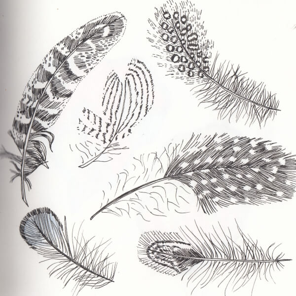 Drawing class by Debora Cane Art
