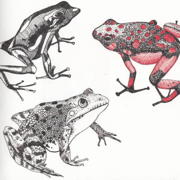 Drawing class by Debora Cane Art