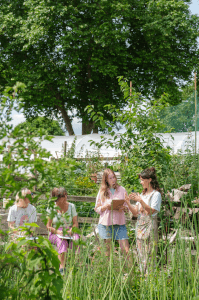 Painting workshops