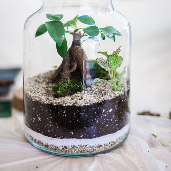 Terrarium class by Green & Grounded