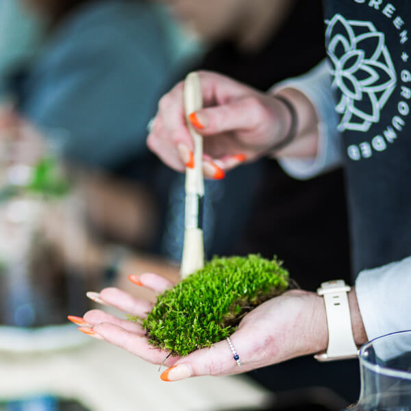 Terrarium workshops