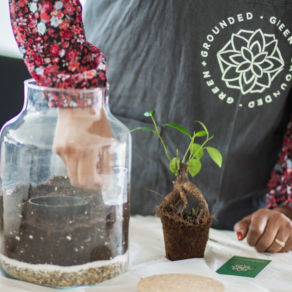 Terrarium classes