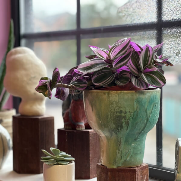 Photo from a Guildford Pottery workshop