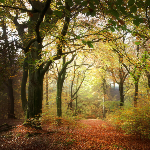 Photography classes, Bolton