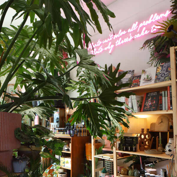 Terrarium classes, Crystal Palace