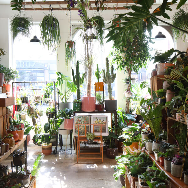 Terrarium experience