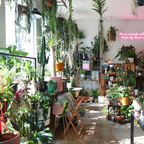 Terrarium course
