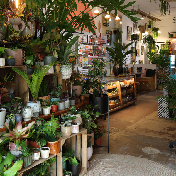 Terrarium class by Ivy and the Wolf