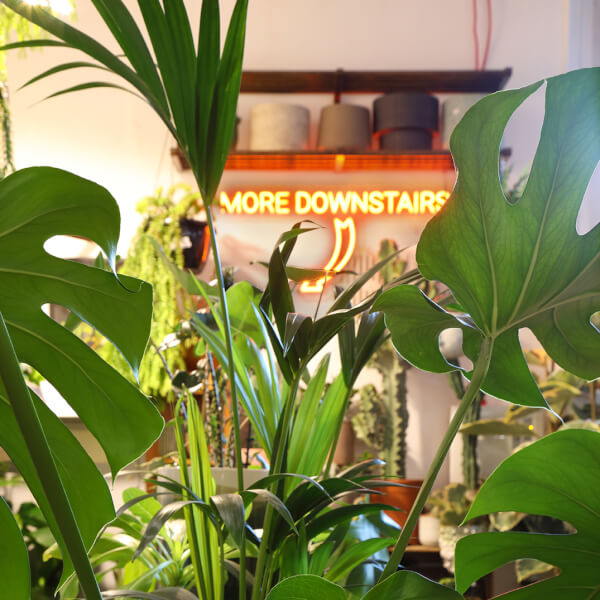 Terrarium workshops, Crystal Palace