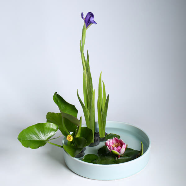 Floristry experience