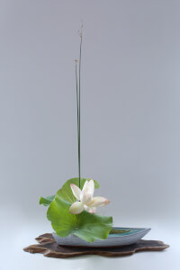 Floristry course