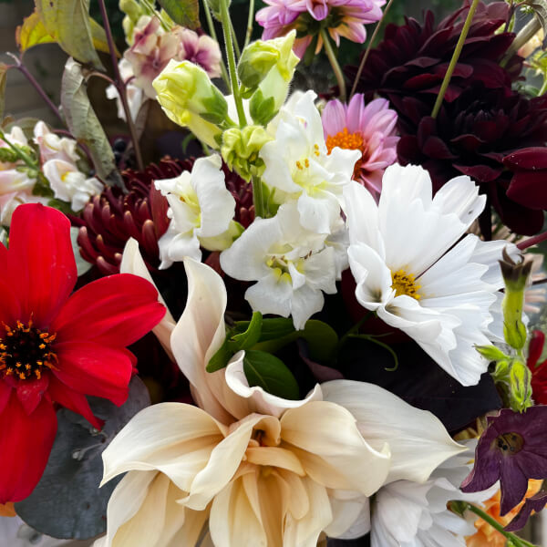 Photo from a Lauren Alexander Blooms workshop