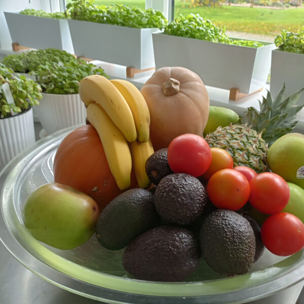 Pickling and Fermentation class by Lynn's Living Kitchen