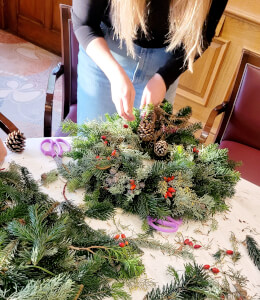 Terrarium classes