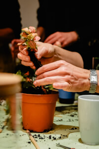 Terrarium course