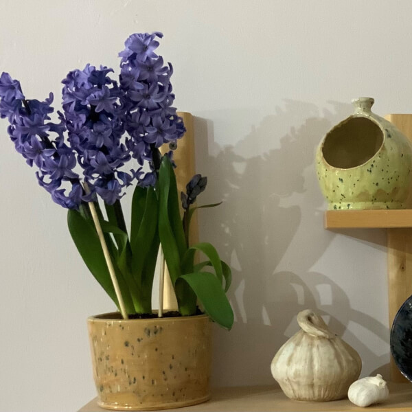 Pottery workshops