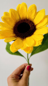Paper Craft and Ink workshops