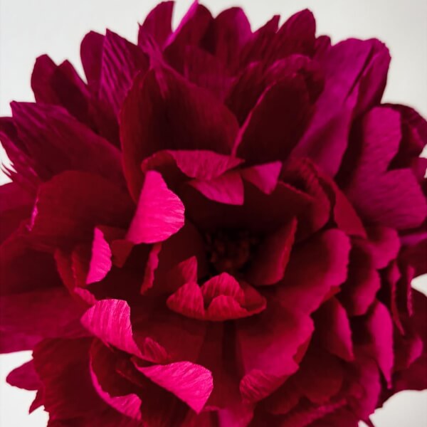 Paper Craft and Ink classes