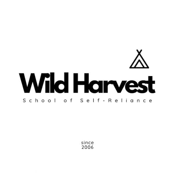 Photo from a Wild Harvest School workshop