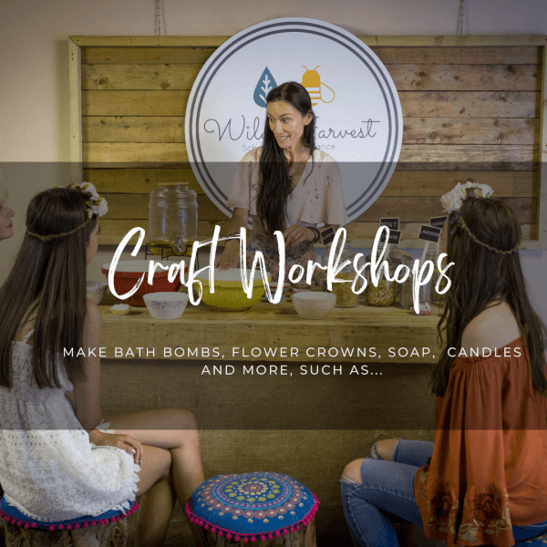 Photo from a Wild Harvest School workshop