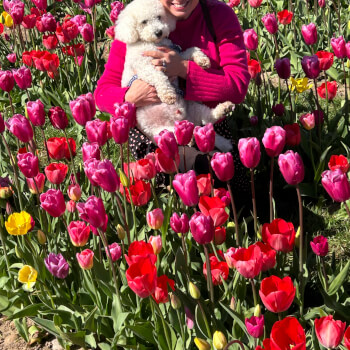 April's Flower Patch, floristry teacher