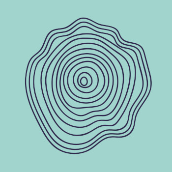 Archipelago Folkschool, woodworking teacher
