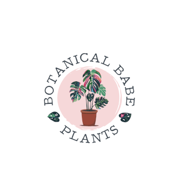 Botanical Babe Plants, terrarium, kokedama and gardening teacher