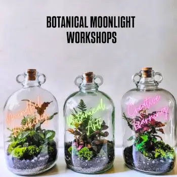 Botanical Moonlight