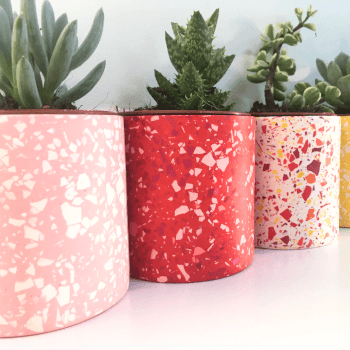 Debbie