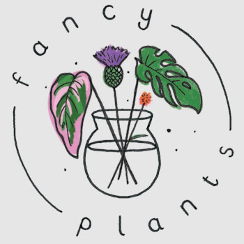 Fancy Plants