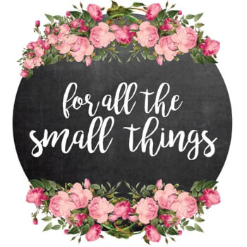 For All The Small Things