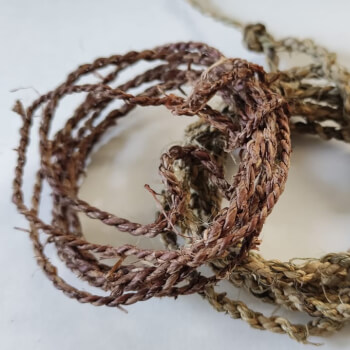Forage and Fibres, foraging teacher