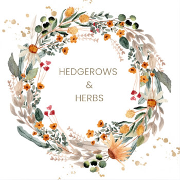 Hedgerows & Herbs Ltd, floristry teacher