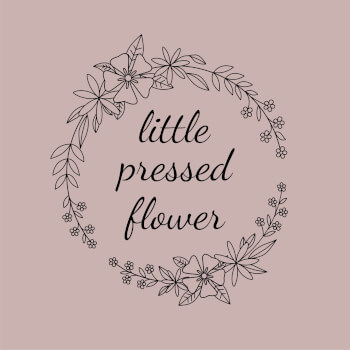 Little Pressed Flower,  teacher