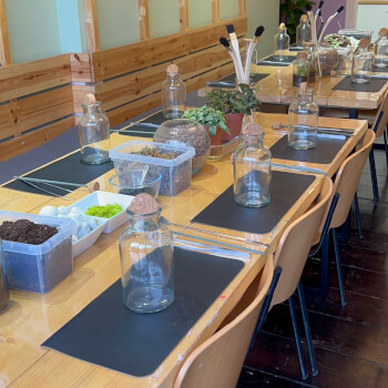 Meet and Craft, textiles and terrarium teacher