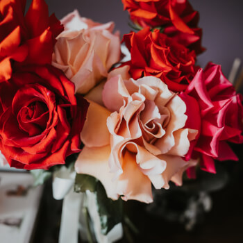Polly Jones Studio