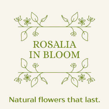 Rosalia in Bloom