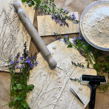 Stem Botanical Casts