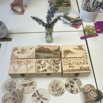 The Curiosity Corner