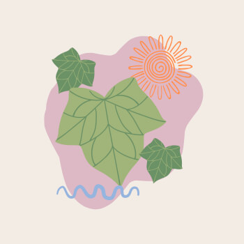 The Ivy Effect